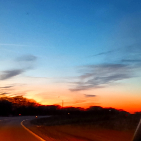 Shorts sold by Gap - Picture 1 of 1